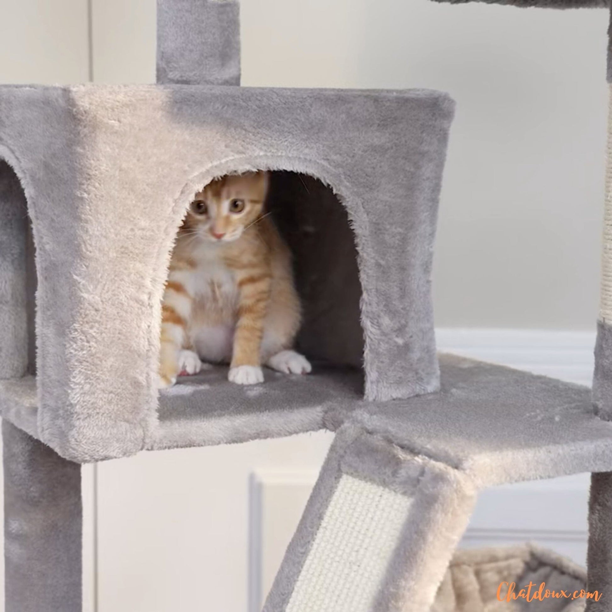 arbre à chat | TopTry™ chat doux