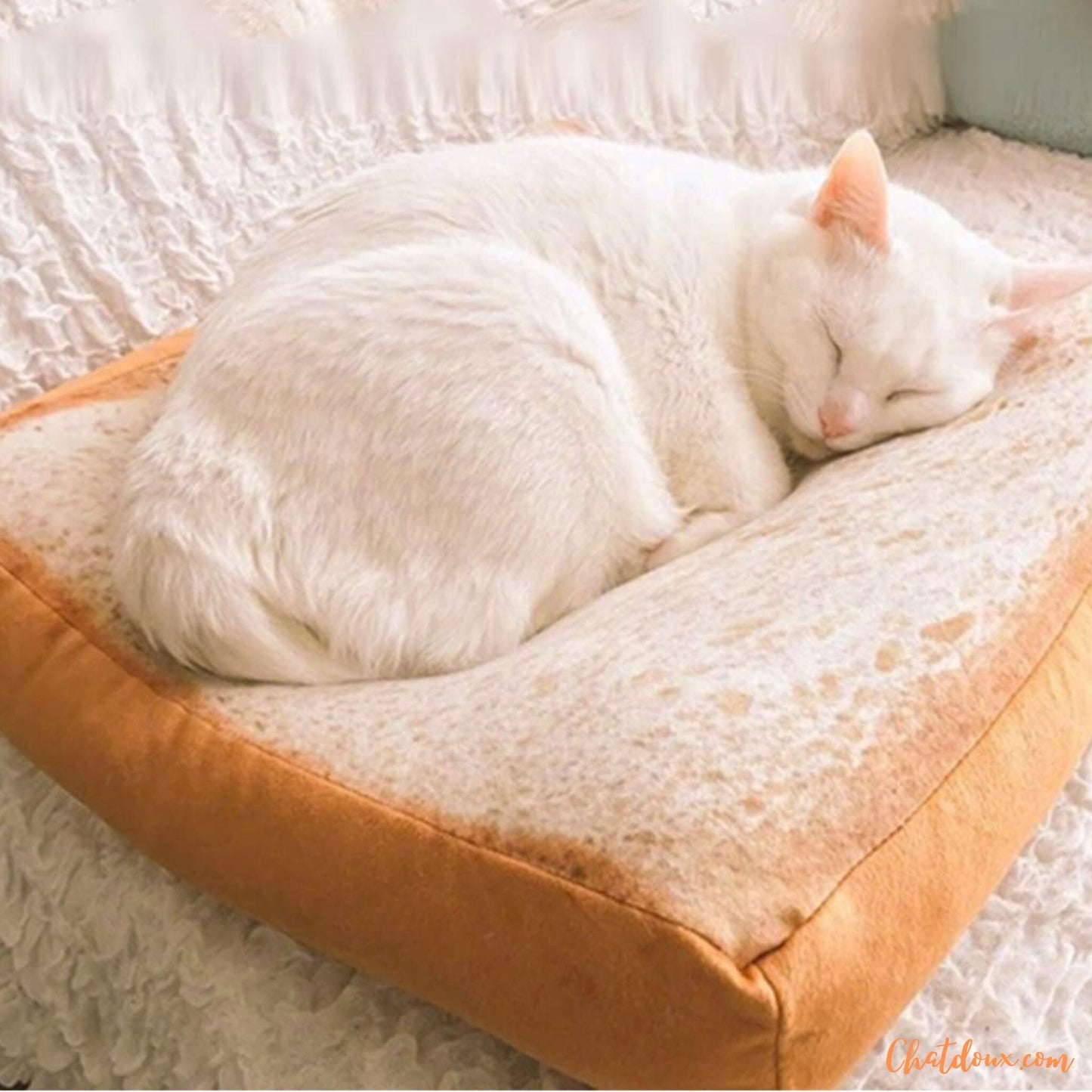 Coussin pour chat | Toastybedâą chat doux