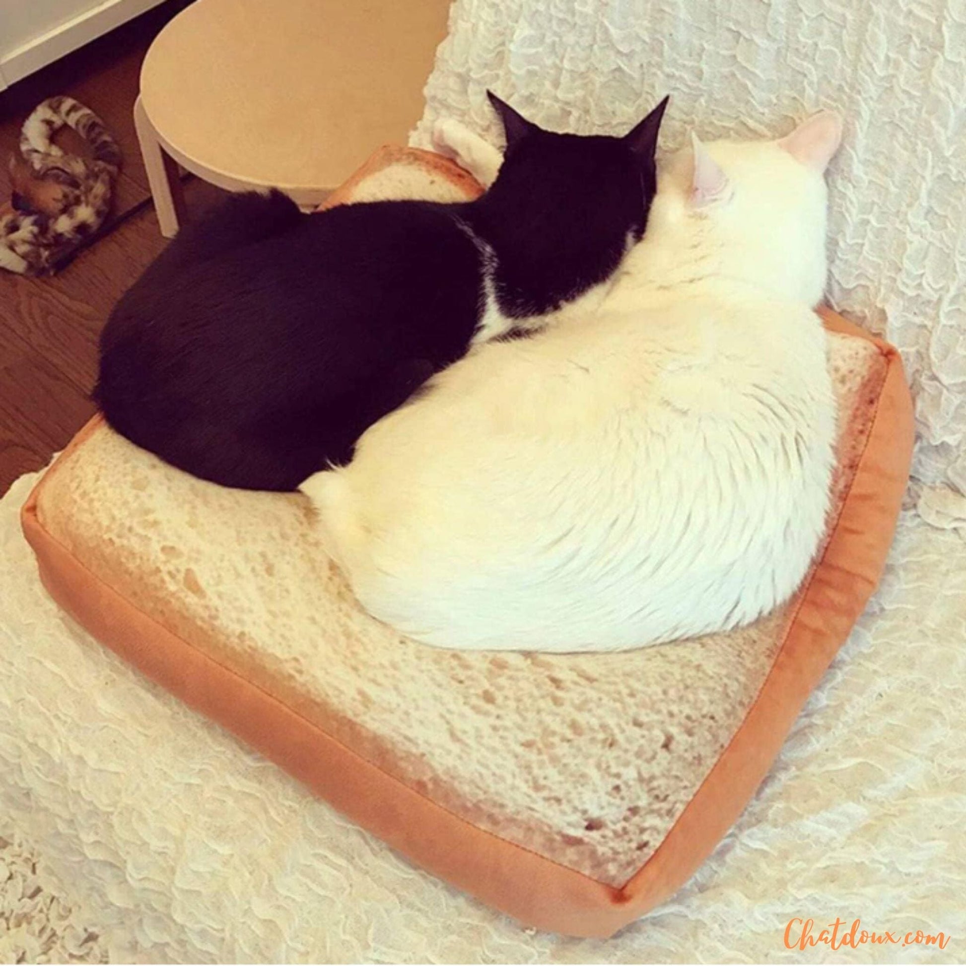 Coussin pour chat | Toastybedâą chat doux