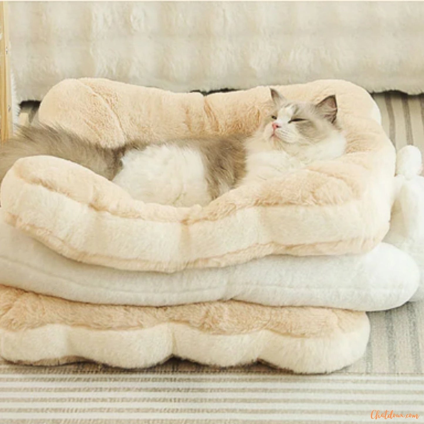Coussin chat | Chatwichâą chat doux
