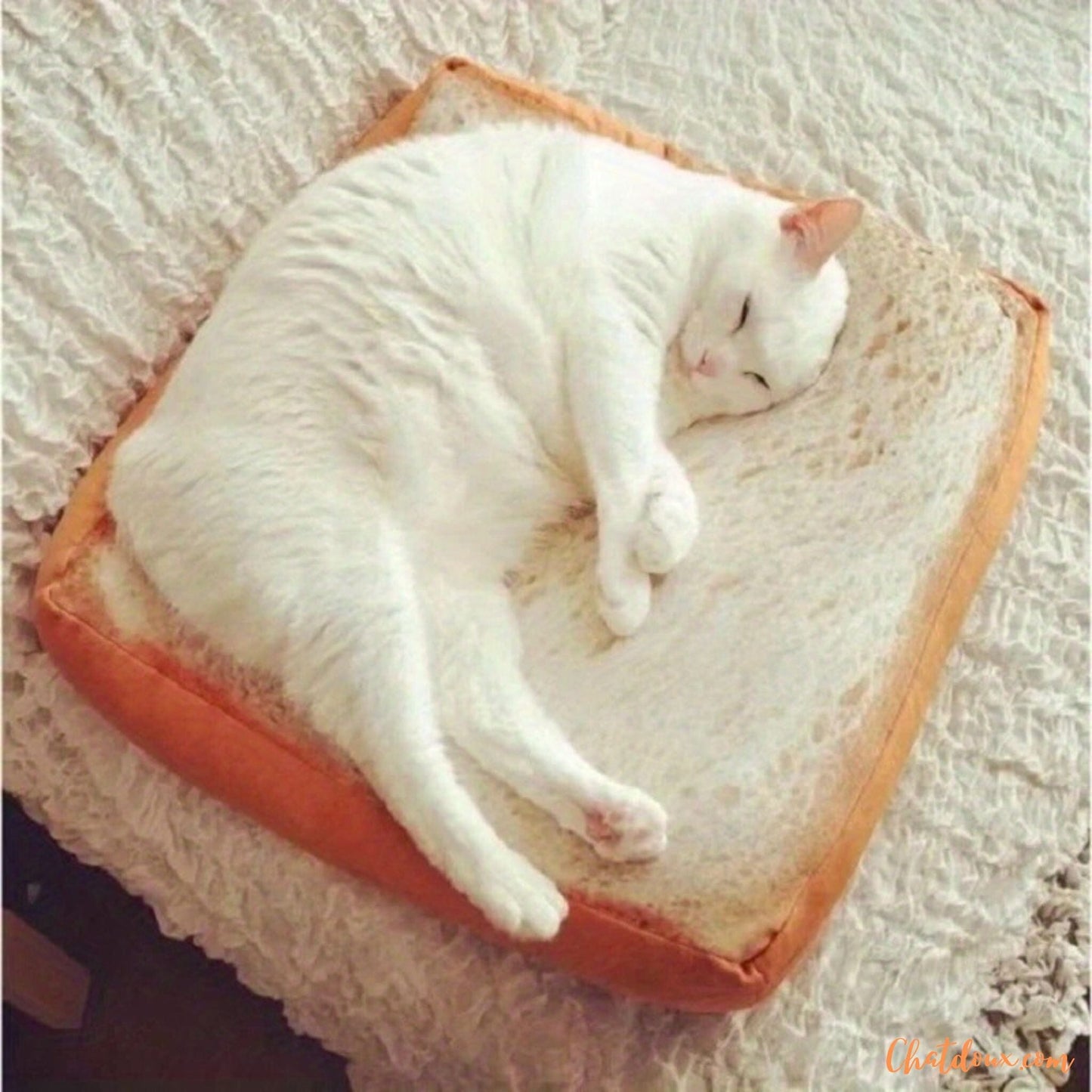 Coussin pour chat | Toastybedâą chat doux
