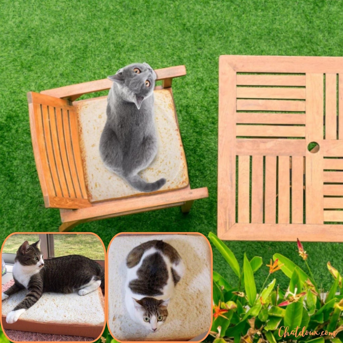Coussin pour chat | Toastybedâą chat doux