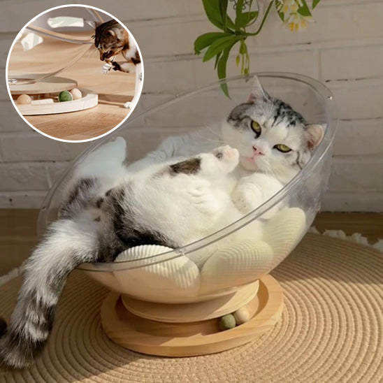 Lit chat - Panier transparent chat | ConfortPremium chat doux