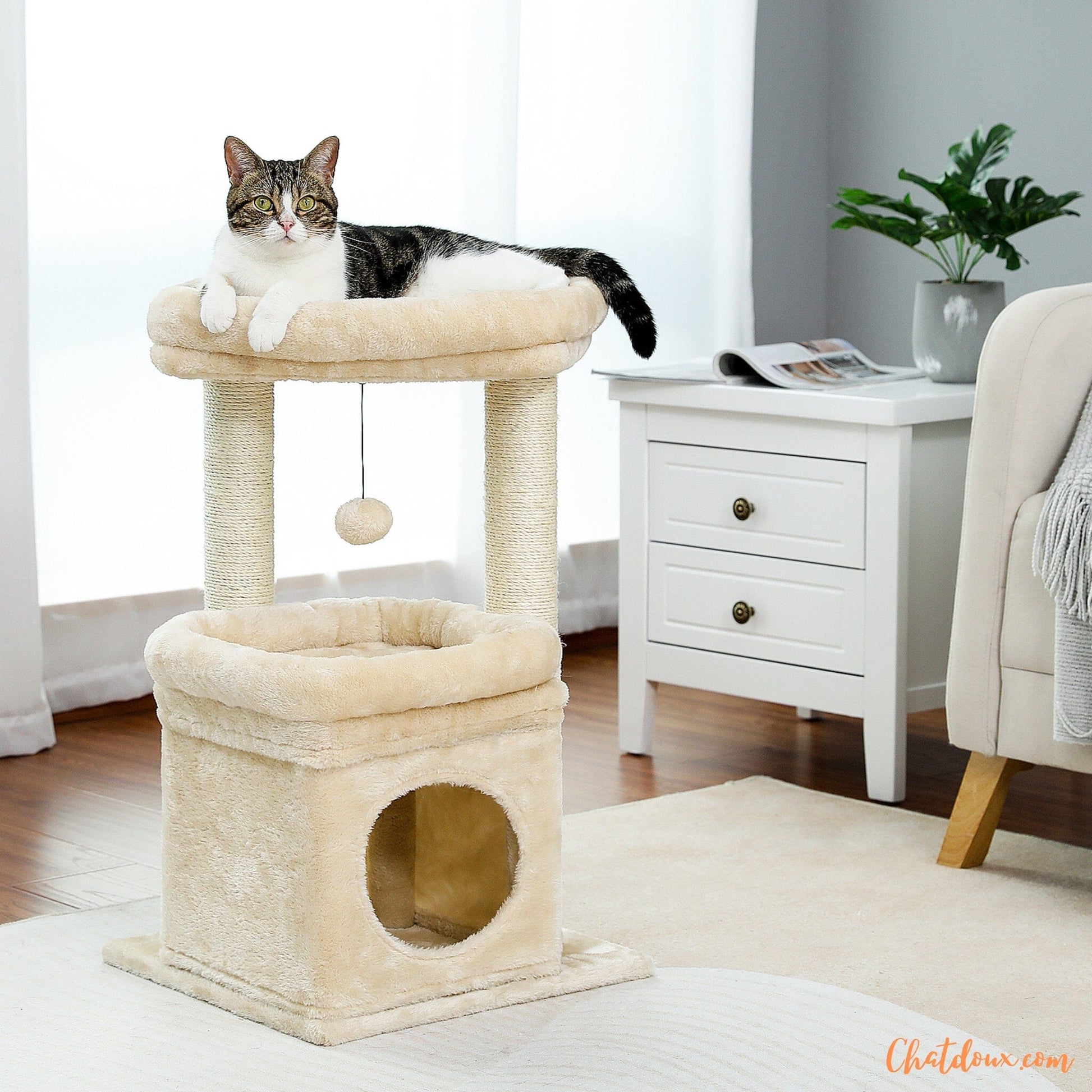 Petit arbre Ă  chat beige | CutyTreeâą chatdoux