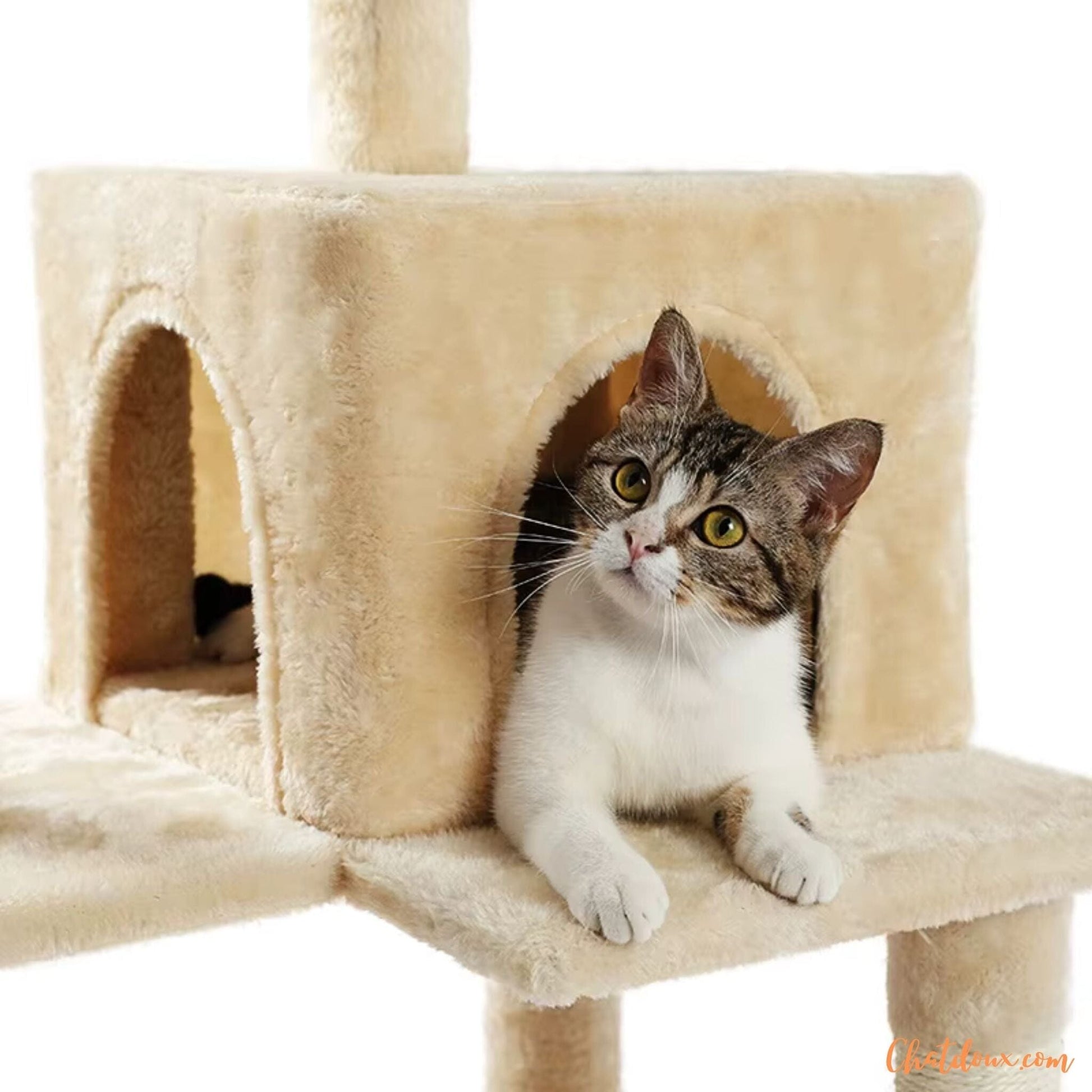 Arbre à Chat Beige | CT4Leval™ chatdoux