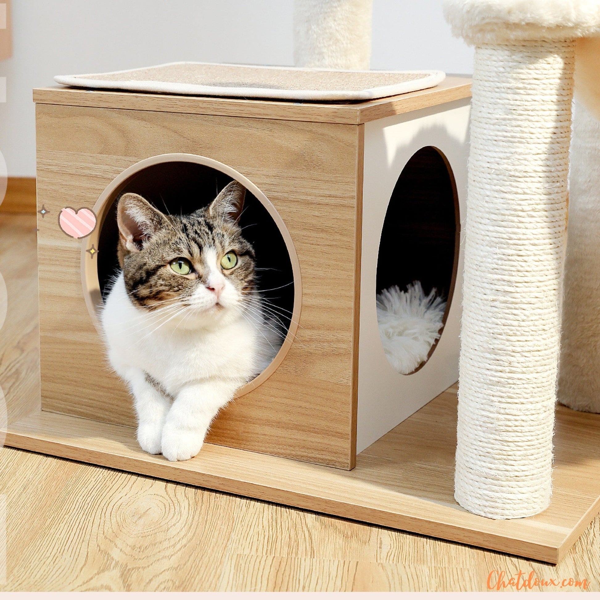 Arbre à Chat beige | 4Cat™ chatdoux