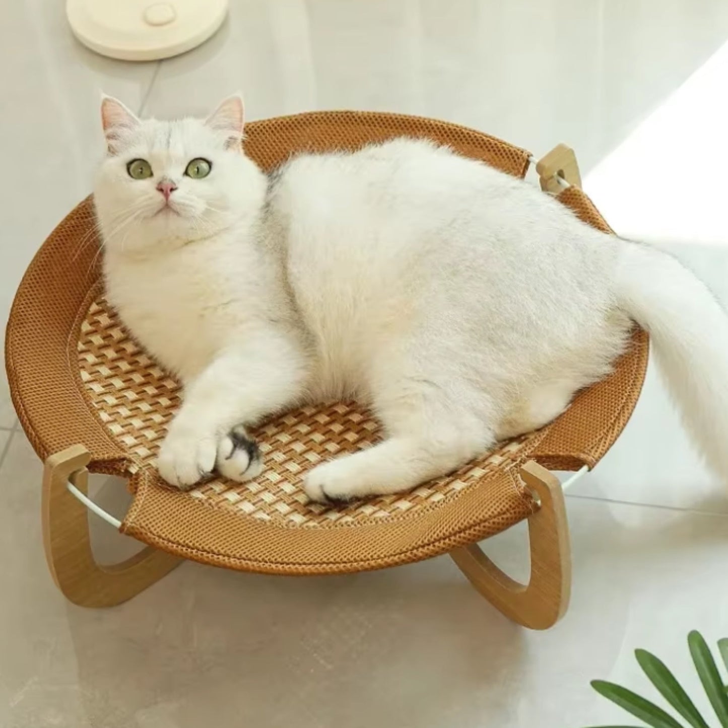 hamac pour chat - Hamac en bois | ZenRoâą chat doux