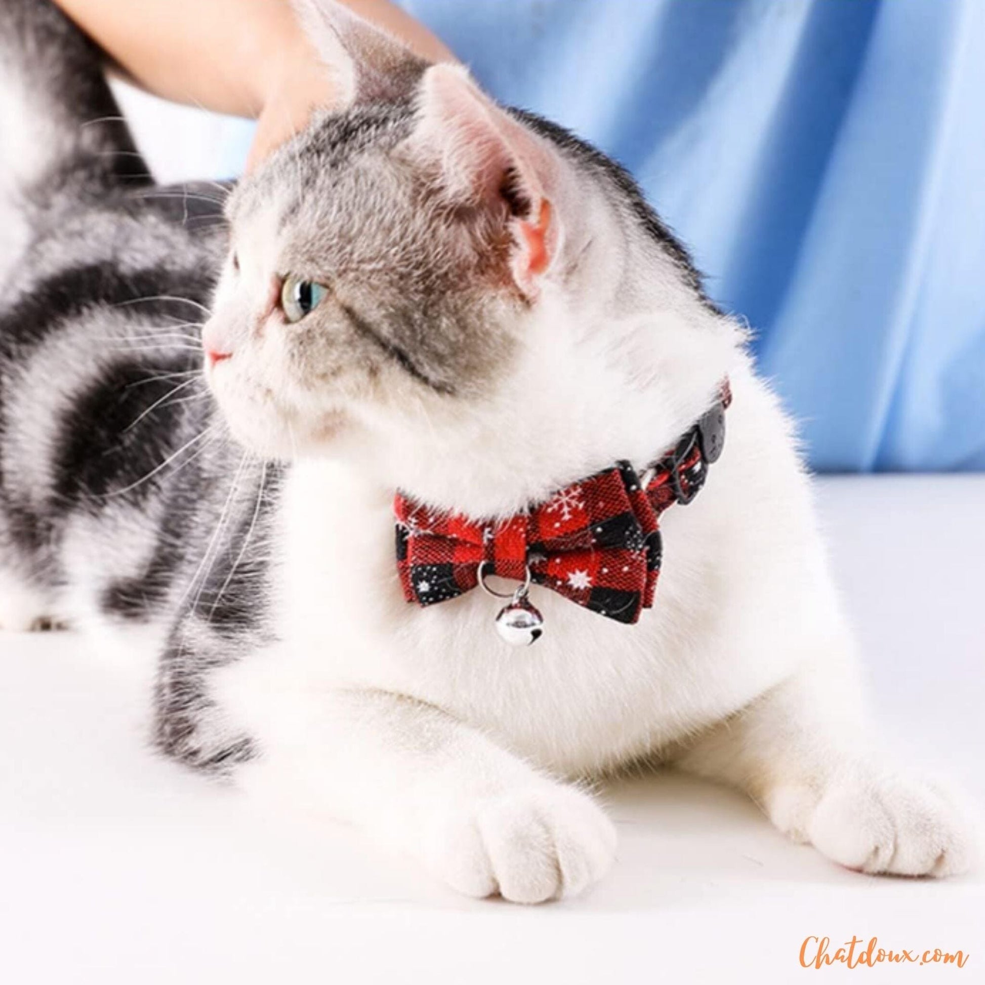 Collier chat - NoelColVRâą chatdoux