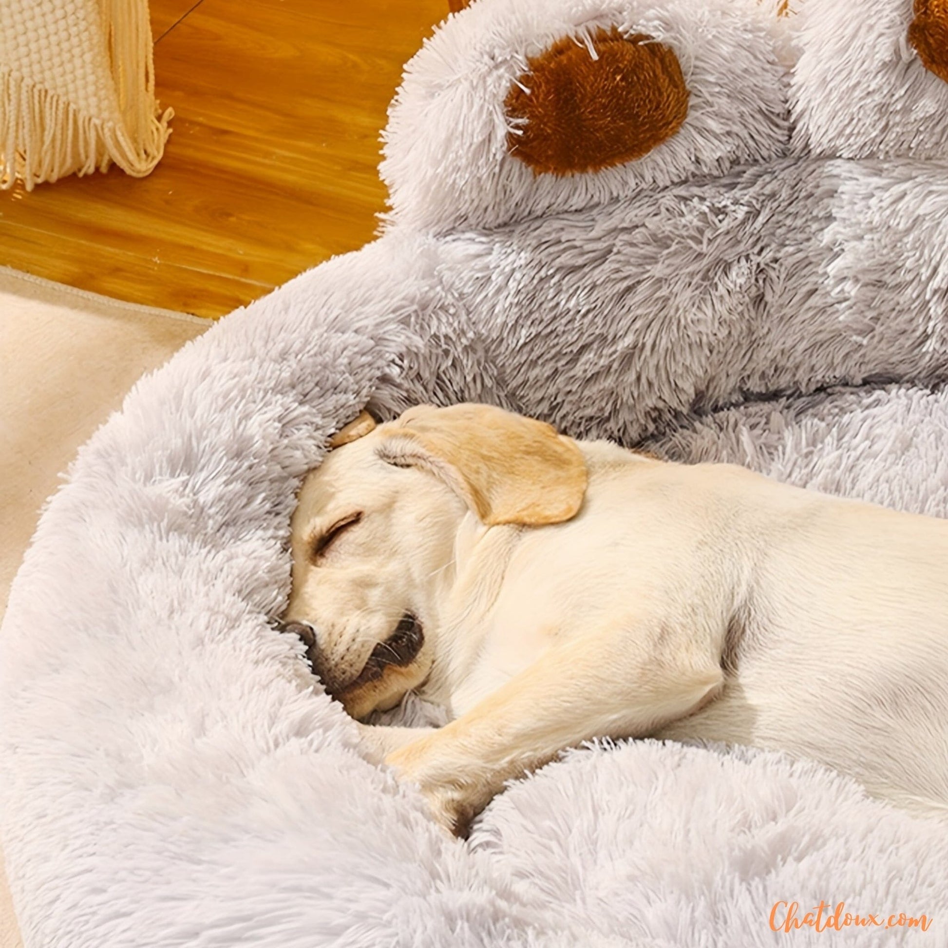 Coussin pour chat | ConfoMaxâą chat doux