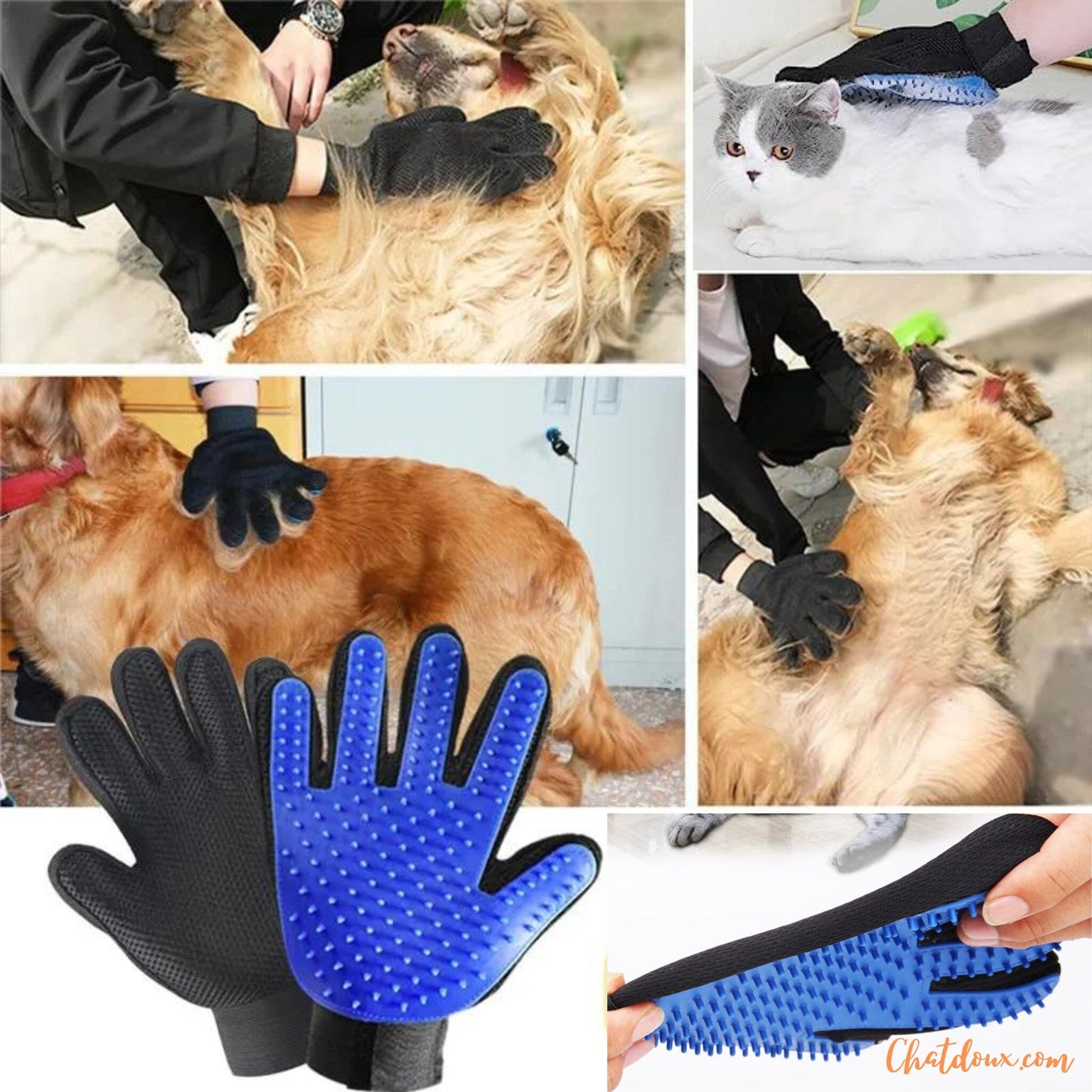 toilettage chat | Gant de toilettage pour chats | Brosse Ă  dĂ©mĂȘler les poils de chat | NomProdâą chat doux
