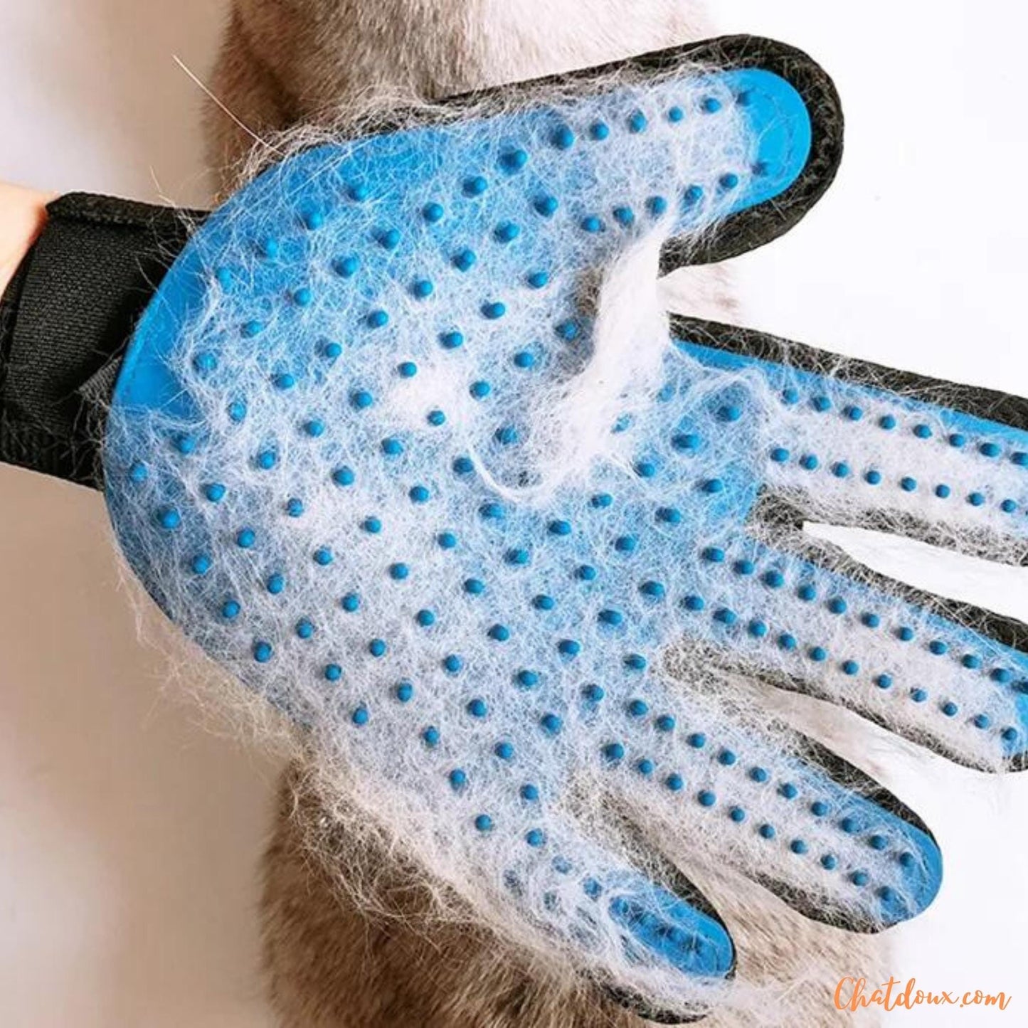 toilettage chat | Gant de toilettage pour chats | Brosse Ă  dĂ©mĂȘler les poils de chat | NomProdâą chat doux