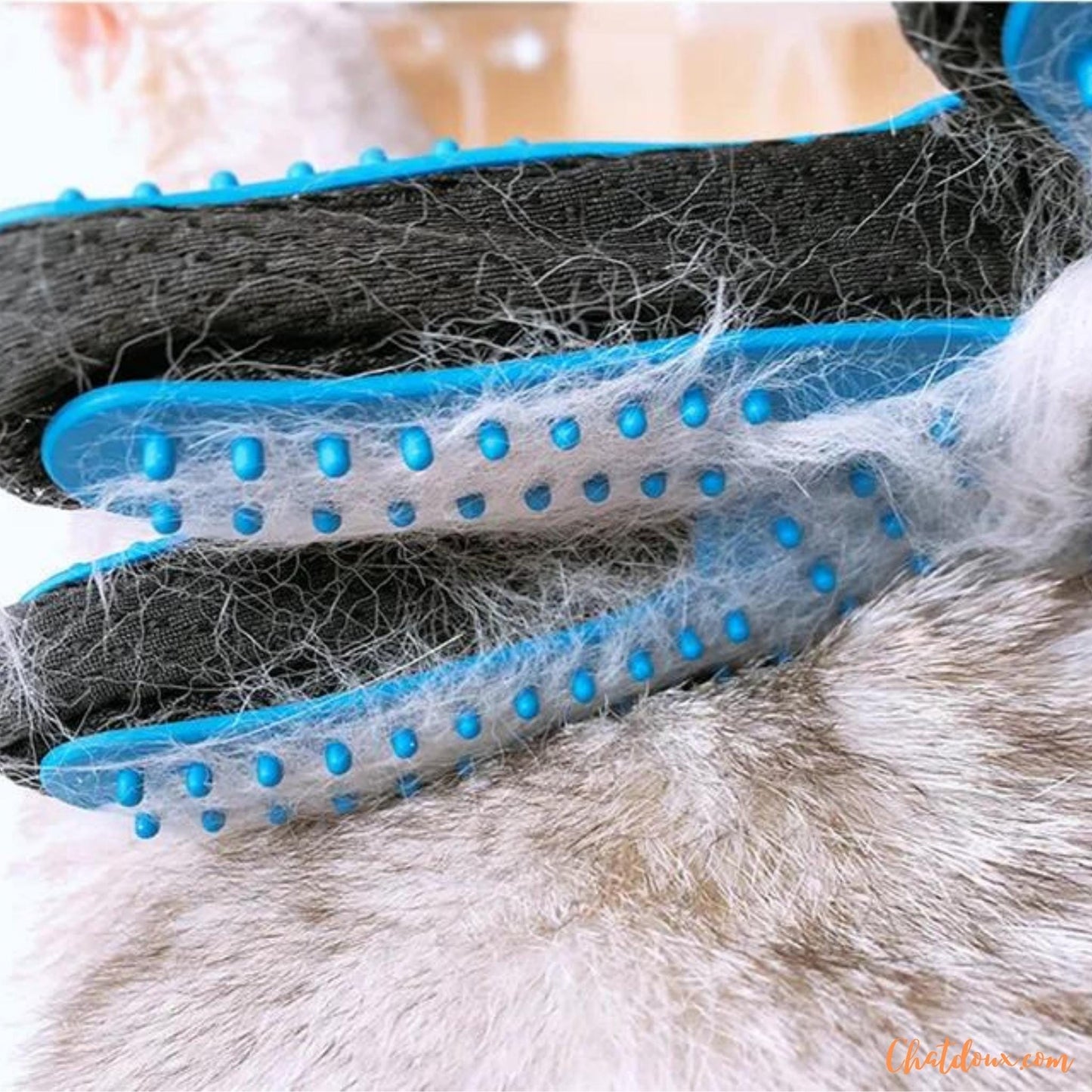 toilettage chat | Gant de toilettage pour chats | Brosse Ă  dĂ©mĂȘler les poils de chat | NomProdâą chat doux