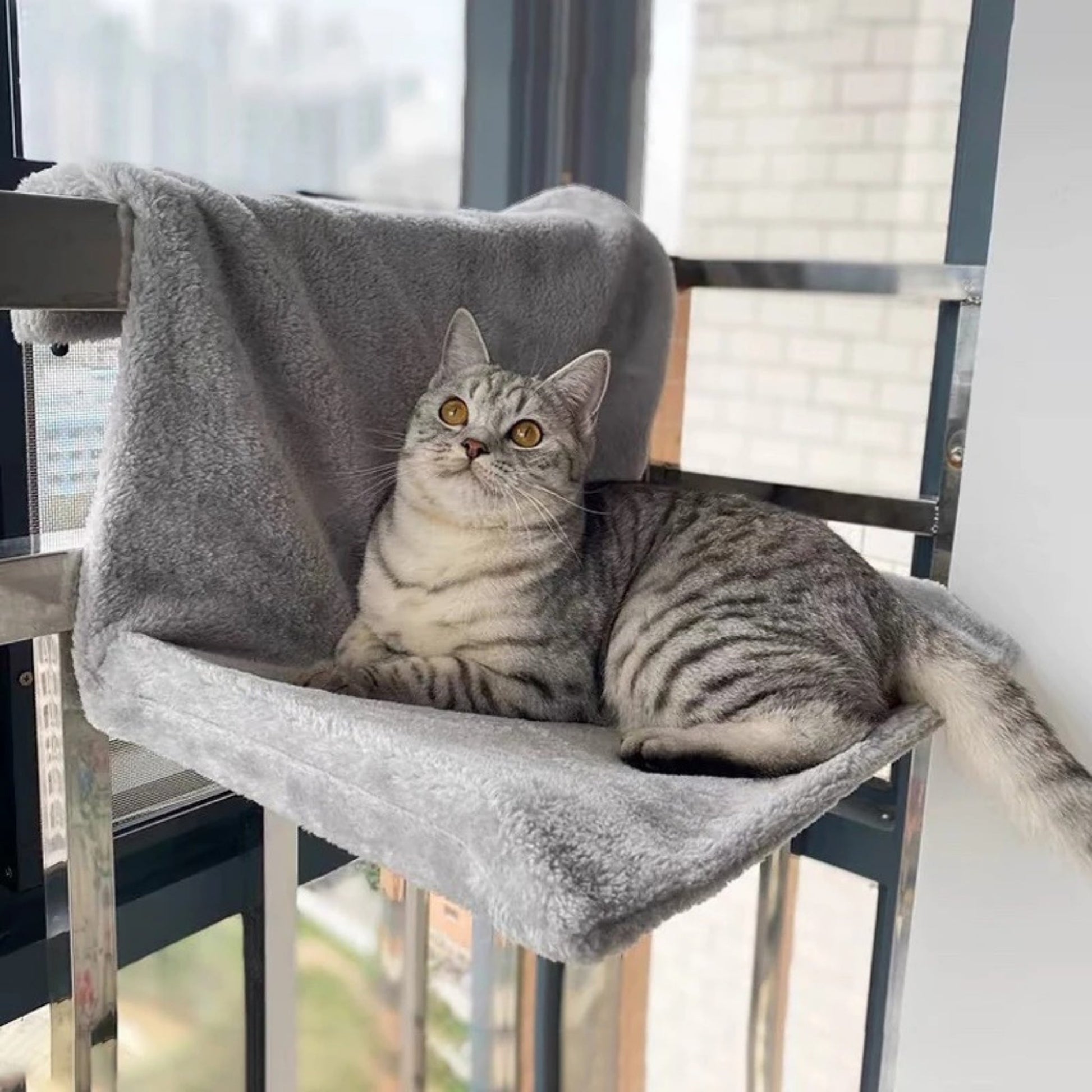 Hamac Chat pour Radiateur Gris| CatyChaudâą chat doux