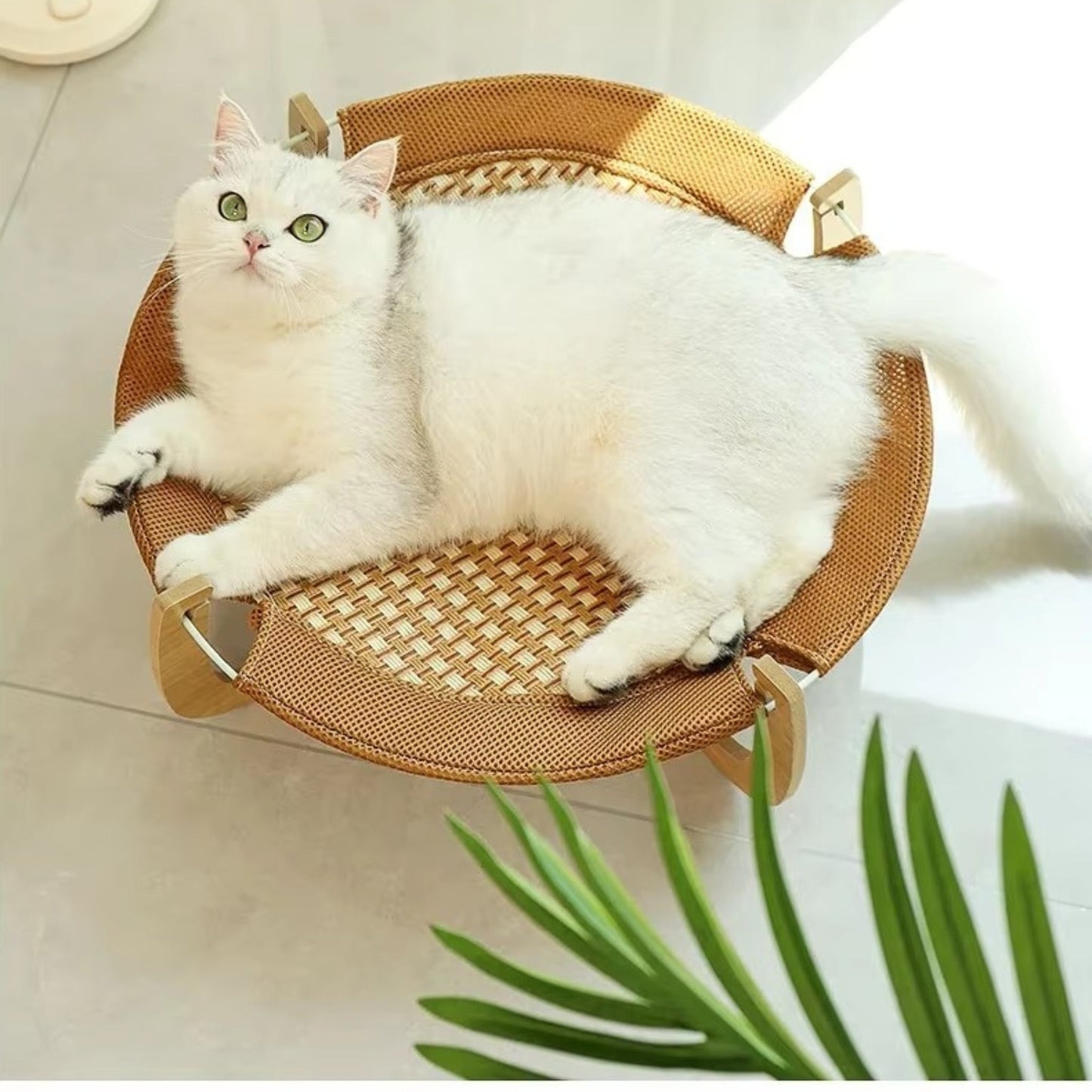 hamac pour chat - Hamac en bois | ZenRoâą chat doux