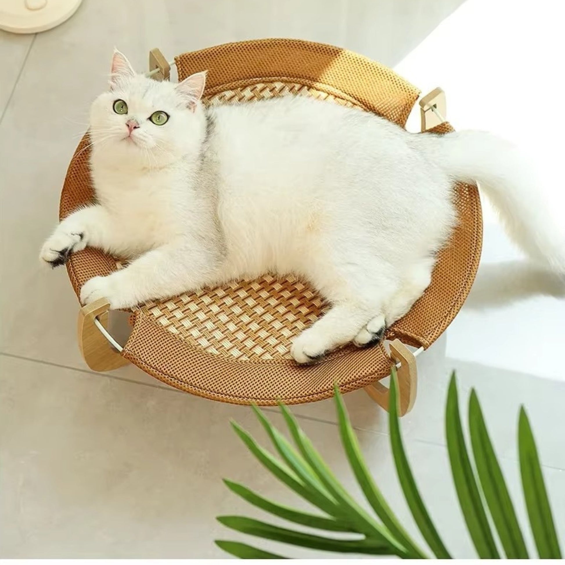 hamac pour chat - Hamac en bois | ZenRoâą chat doux
