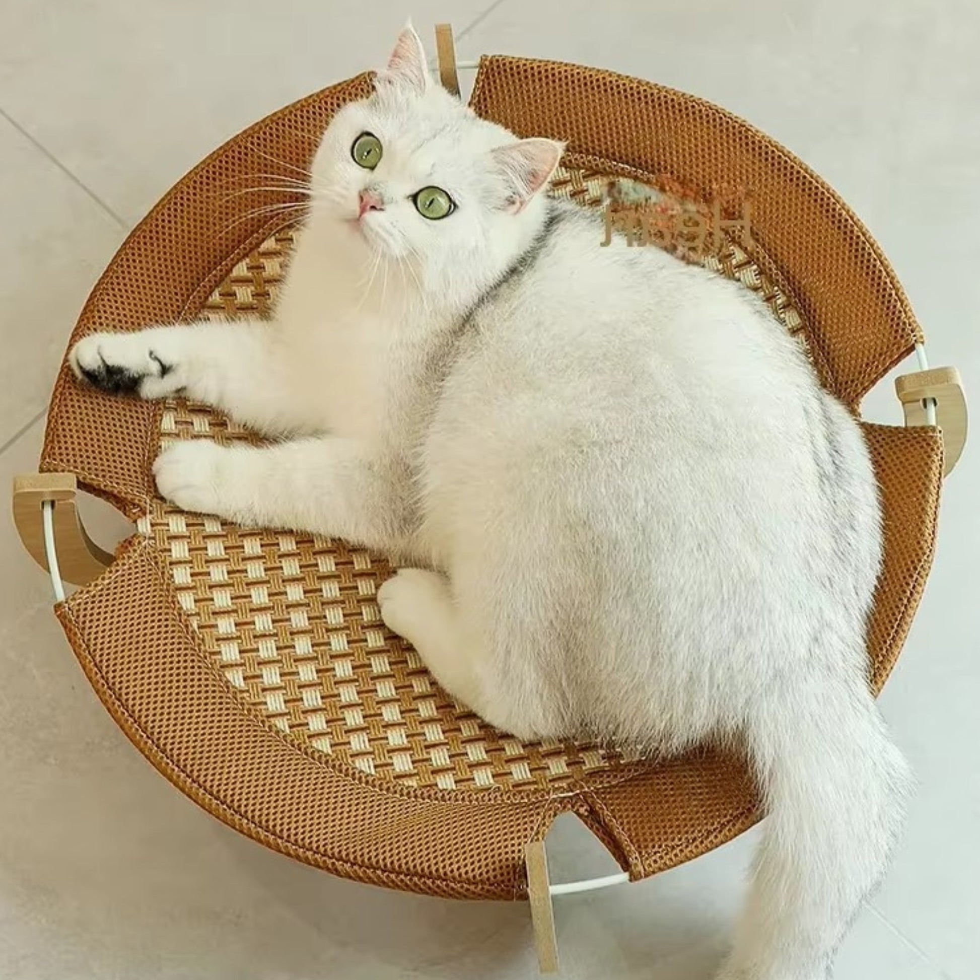 hamac pour chat - Hamac en bois | ZenRoâą chat doux