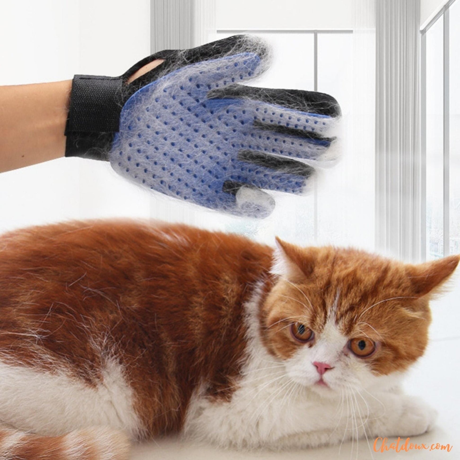 toilettage chat | Gant de toilettage pour chats | Brosse Ă  dĂ©mĂȘler les poils de chat | NomProdâą chat doux