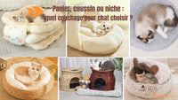 Panier, coussin ou niche : quel couchage pour chat choisir ?