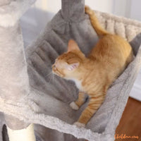 arbre à chat | TopTry™ chat doux