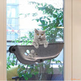 CHAT-GRIS-DANS-HAMACA-CHAT-FENETRE-RepairePerche