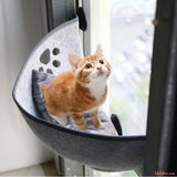 CHATTON-DANS-UN-HAMACA-CHAT-FENETRE-RepairePerche