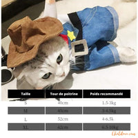 COSTUME-HALLOWEEN-GUIDE -DE-TAILLE