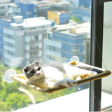 Chat-allonge-au-soleil-Hamac-chat-fenetre-HorizonCat
