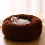 Coussin-chat-a-bord-sureleve-Dorych