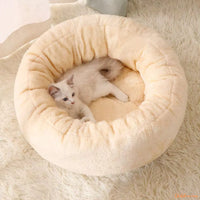 Coussin-chat-beige-Dorych