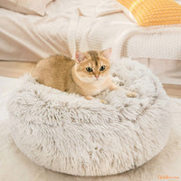 Coussin-chat-beige-DouceNuit