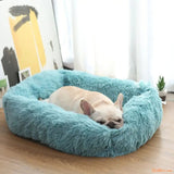 Coussin-chat-et-chien-bleu-Peluchat