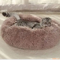 Coussin-chat-maron-Peluchat