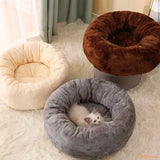 Coussin-chat-trois-couleurs