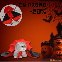 DEGUISEMENT-CHAT-HALLOWEEN