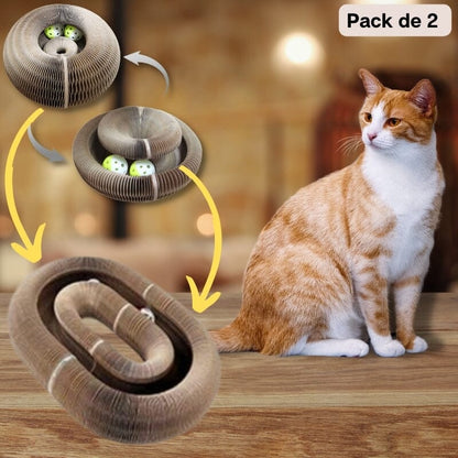 Griffoir innovant pliable et recyclable et jouet interactif pour chat | CartyGrat™ chat doux