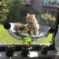 HAMACA-CHAT-FENETRE-PLACE-A-L_EXTERIEUR-RepairePerche