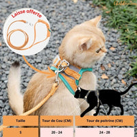 HARNAIS_POUR_CHAT_S