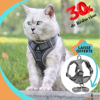 Harnais chat anti fugue | CatOut™ chat doux