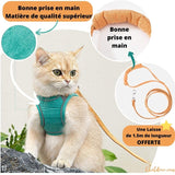 HARNAIS CHAT - HARNAIS CHAT VERTE ET ORANGE |  FunyWalk™ chat doux