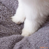 Niche-pour-chat-coussin-douillet