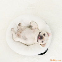 Niche-pour-petit-chien