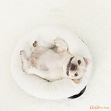 Niche-pour-petit-chien