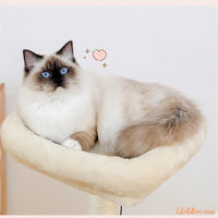 Arbre à Chat beige | 4Cat™ chatdoux