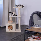 arbre chat pour chaton