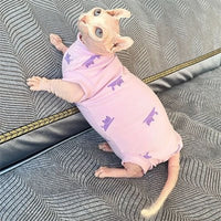 Body pour chat | ComfortCare chat doux