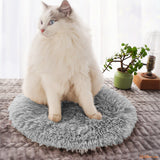 chat-blanc-assis-sur-coussin-chat-gris-FineDouceure