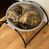 chat-dans-Hamac-pour-chat-Hamdort