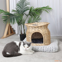 chat-devant-son-panier-chat-osier