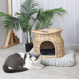 chat-devant-son-panier-chat-osier