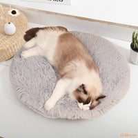 chat-sur-coussin-chat-gris-FineDouceure